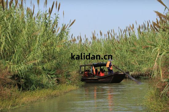 蕩(dang)起(qi)雙槳劃走(zou)冬天 江蘇(su)春(chun)天泛(fan)舟(zhou)好(hao)去處(chu) (2)_新(xin)浪(lang)旅(lv)遊(you)_新(xin)浪(lang)網(wang)