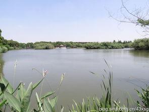 遊(you)走在沙家浜(bang)濕地公園 壹次(ci)心靈的(de)自(zi)然之旅(lv)