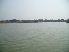 紅色經典之旅 探訪常(chang)熟沙家浜革(ge)命(ming)聖(sheng)地