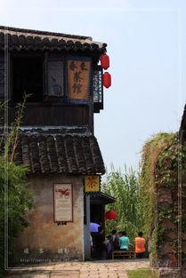 沙家浜遊(you)記——常熟(shu)水鄉風(feng)韻(yun)與(yu)紅色(se)記憶(yi)的完(wan)美(mei)交(jiao)融