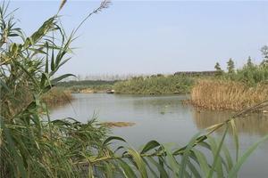 沙家浜風(feng)景區全攻(gong)略 門(men)票(piao)、地(di)址、亮(liang)點與(yu)遊(you)玩路(lu)線(xian)壹(yi)網(wang)打盡